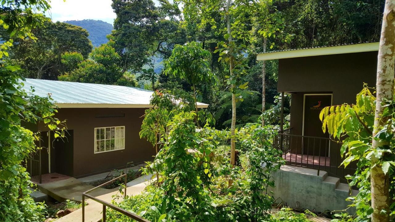 Kanungu Bwindi Guest House מראה חיצוני תמונה